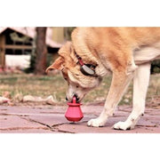 Puppy Bling Ring