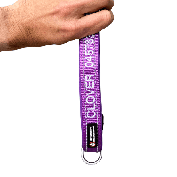 Aqua Dog (Ocean Safe) ID Collar - Australian Made