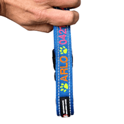Aqua Dog (Ocean Safe) ID Collar - Australian Made