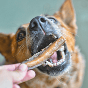 Beef Bully Bites – Aussie Made Zinc & Iron Chew Treats