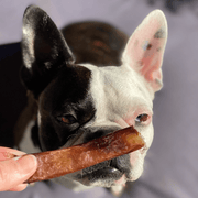 Beef Bully Bites – Aussie Made Zinc & Iron Chew Treats