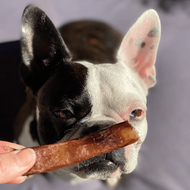 Beef Bully Bites – Aussie Made Zinc & Iron Chew Treats
