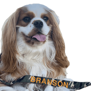 Camouflage Dog ID Collar - Australian Made