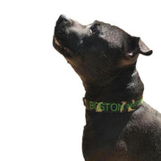 Camouflage Dog ID Collar - Australian Made