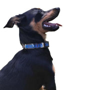 Camouflage Dog ID Collar - Australian Made