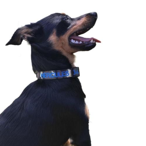Camouflage Dog ID Collar - Australian Made