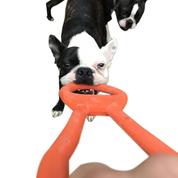 Can Opener Tug Toy