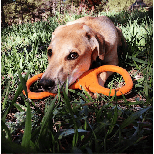 Can Opener Tug Toy