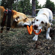 Can Opener Tug Toy