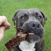Beef Jerky Dog Treats – Aussie Made, Zinc & Iron Rich