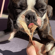 Beef Jerky Dog Treats – Aussie Made, Zinc & Iron Rich