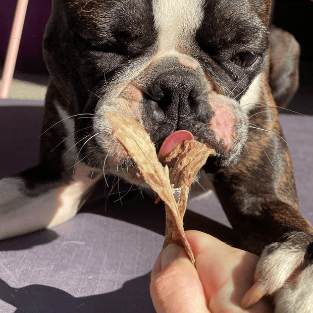 Beef Jerky Dog Treats – Aussie Made, Zinc & Iron Rich