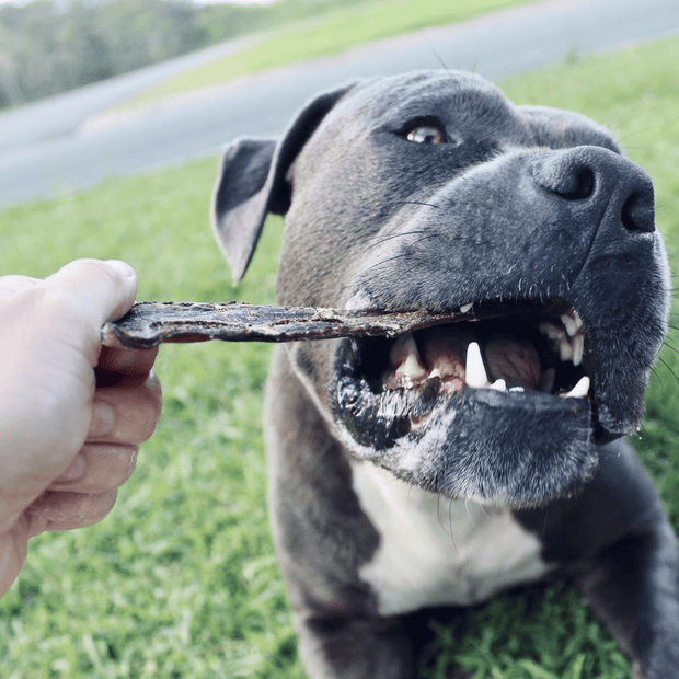 Beef Jerky Dog Treats – Aussie Made, Zinc & Iron Rich
