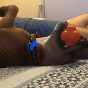 Crazy Bounce (Power Chewers)