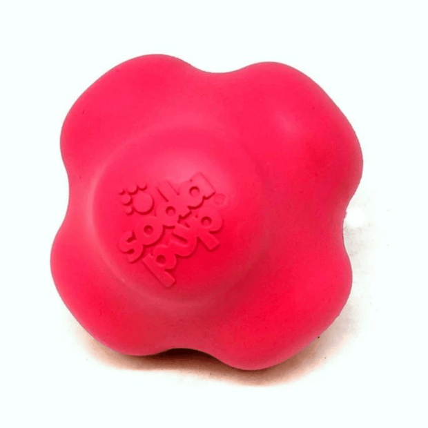 Crazy Bounce (Power Chewers)