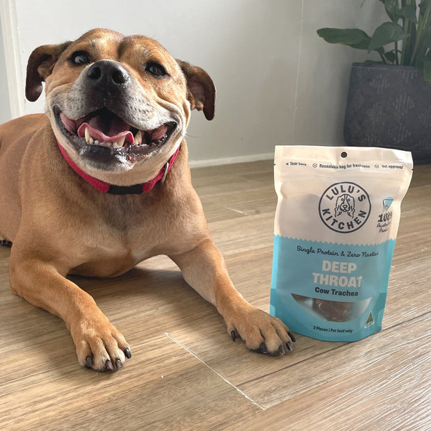Cow Trachea Chew – Aussie High‑Collagen Dental Treat
