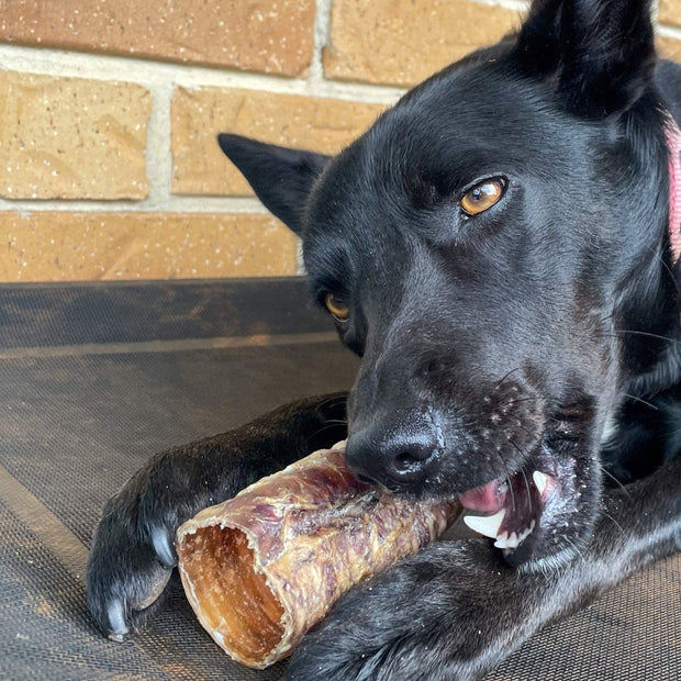 Cow Trachea Chew – Aussie High‑Collagen Dental Treat