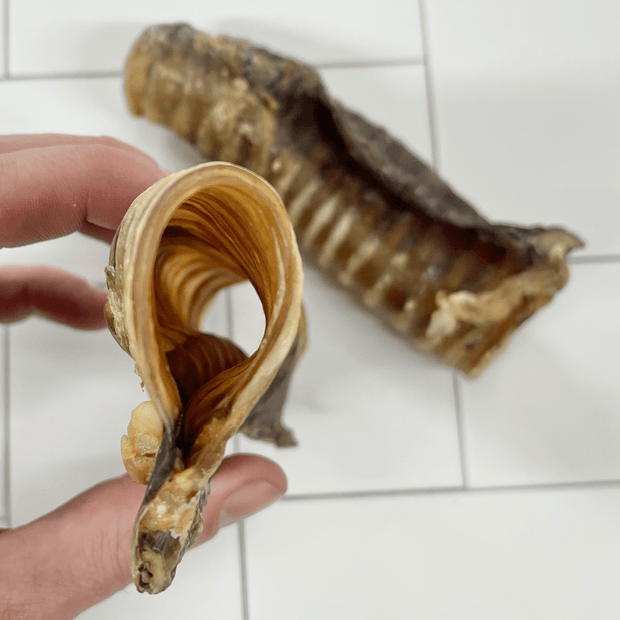 Cow Trachea Chew – Aussie High‑Collagen Dental Treat