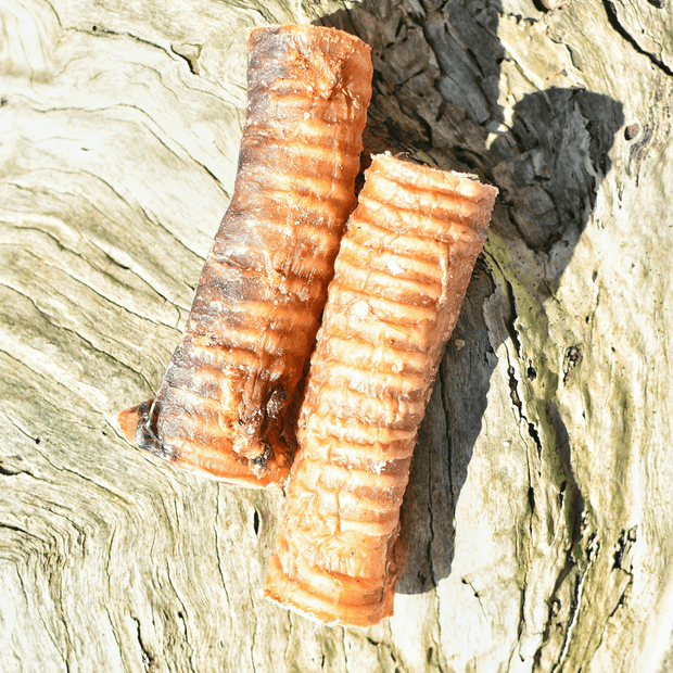 Cow Trachea Chew – Aussie High‑Collagen Dental Treat