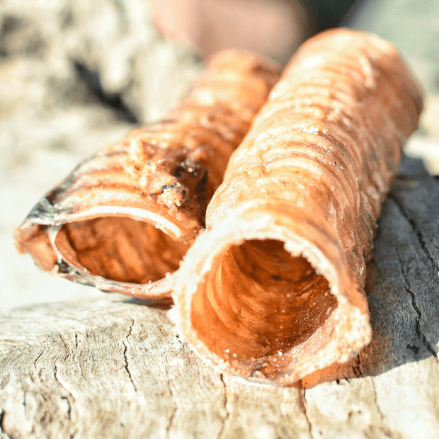 Cow Trachea Chew – Aussie High‑Collagen Dental Treat