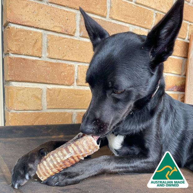 Cow Trachea Chew – Aussie High‑Collagen Dental Treat