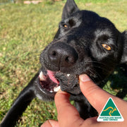 Pork Lung Dog Treats – Lean, Protein‑Rich & Aussie