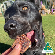 Pork Lung Dog Treats – Lean, Protein‑Rich & Aussie
