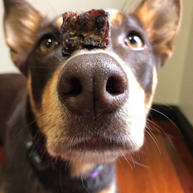 Pork Lung Dog Treats – Lean, Protein‑Rich & Aussie