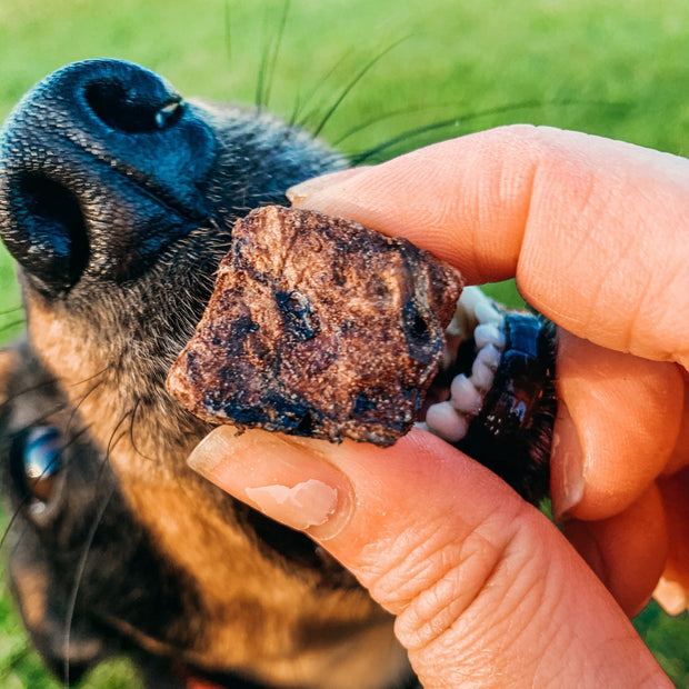 Pork Lung Dog Treats – Lean, Protein‑Rich & Aussie
