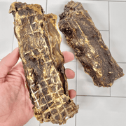 Kangaroo Tail Dog Chew – Aussie Made, Dental Treat