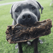 Kangaroo Tail Dog Chew – Aussie Made, Dental Treat