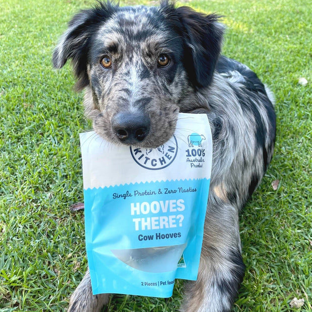 Cow Hooves Chew – Zero Fat Dental Treat