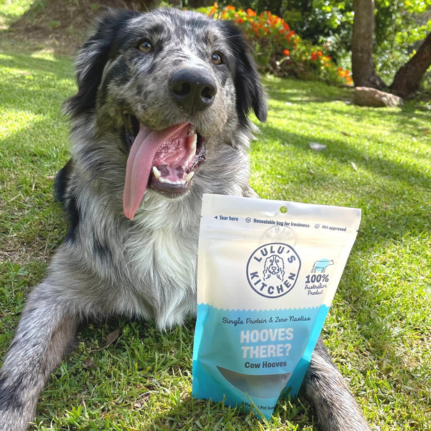 Cow Hooves Chew – Zero Fat Dental Treat