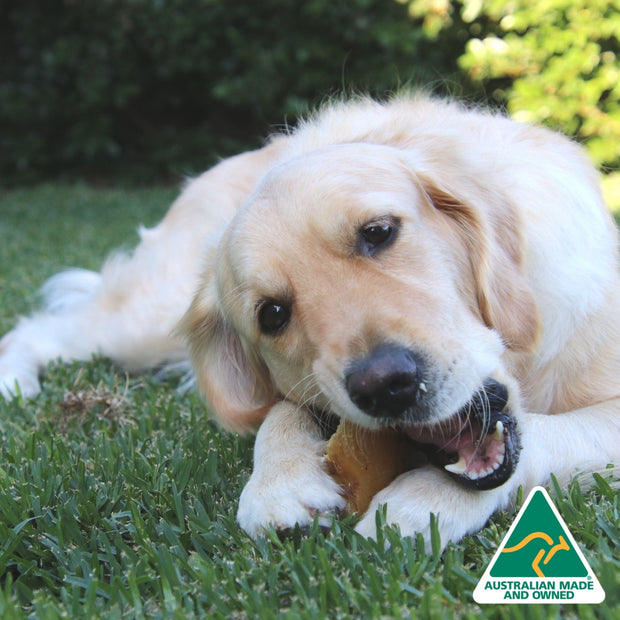Cow Hooves Chew – Zero Fat Dental Treat
