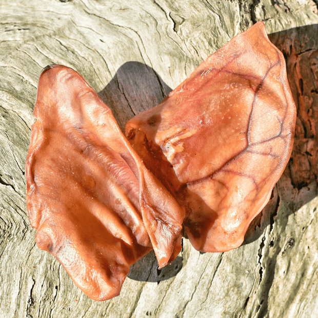 Pig Ears Treats – Aussie Dental Chew & Protein Snack