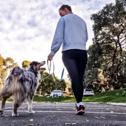 Leads Dog ID Lead - Australian Made