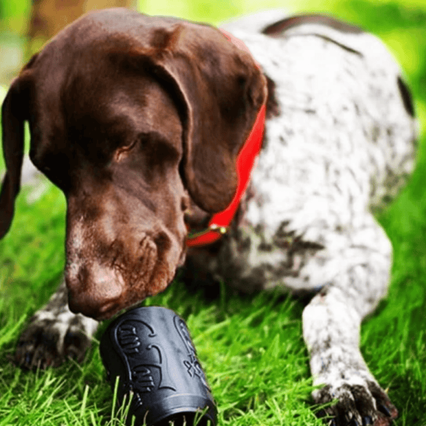 Magnum Can Toy (Power Chewers)