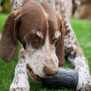 Magnum Can Toy (Power Chewers)
