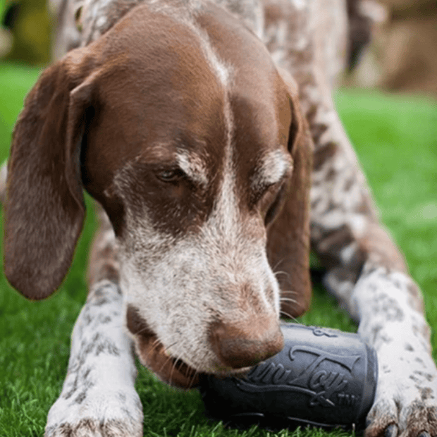 Magnum Can Toy (Power Chewers)