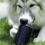 Magnum Can Toy (Power Chewers)