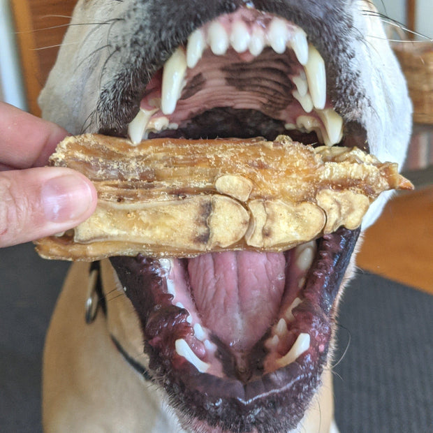 Pig Trotters Chew – Aussie Collagen & Dental Treat