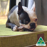 Pig Trotters Chew – Aussie Collagen & Dental Treat
