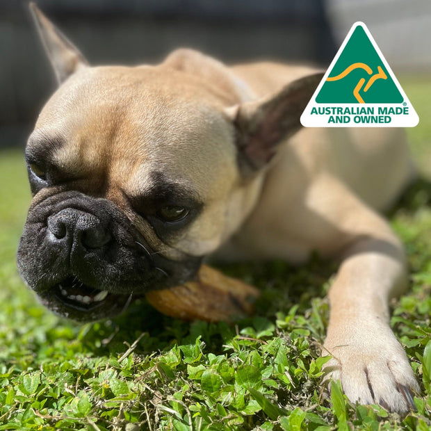 Pig Trotters Chew – Aussie Collagen & Dental Treat