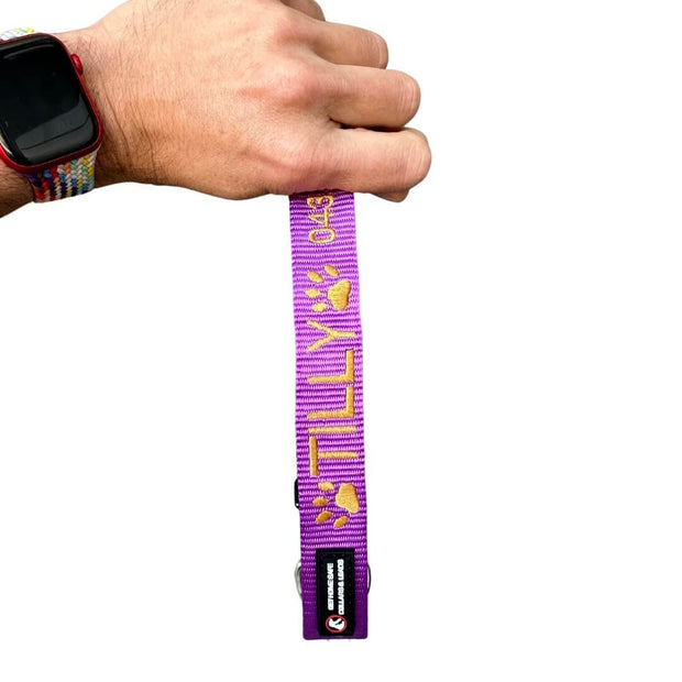 Originals Dog ID Collar - Australian Made