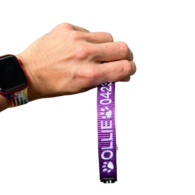 Originals Dog ID Collar - Australian Made