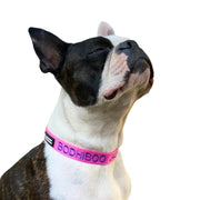 Originals Dog ID Collar - Australian Made