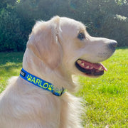 Originals Dog ID Collar - Australian Made