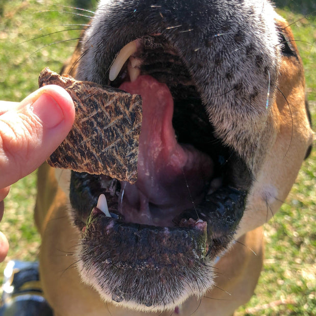 Kangaroo Qubes Training Treats – Aussie, No Additives