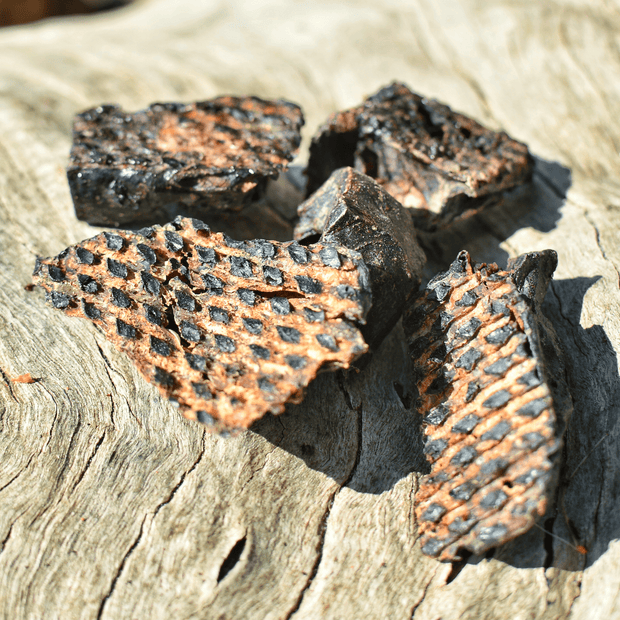 Kangaroo Qubes Training Treats – Aussie, No Additives