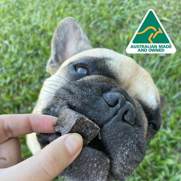 Kangaroo Qubes Training Treats – Aussie, No Additives